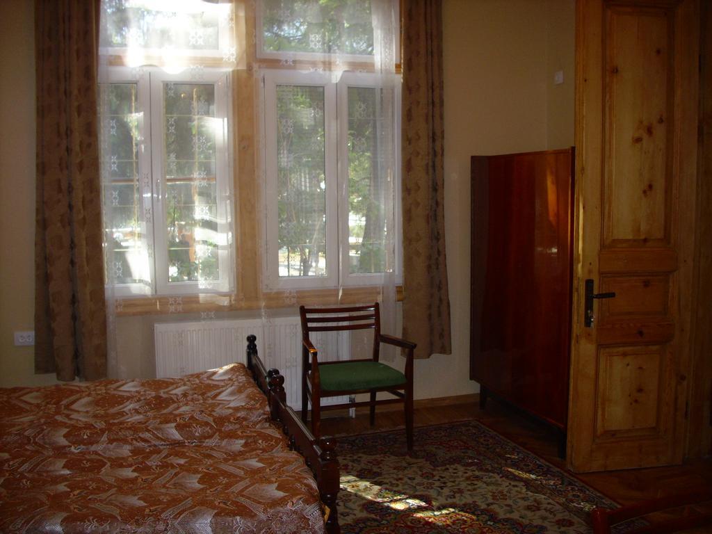 Hotel Old House Rustaveli Bordžomi Exteriér fotografie